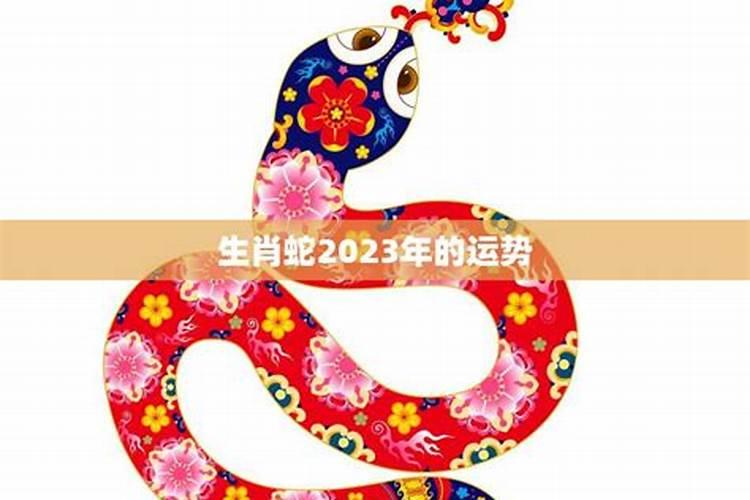 01年属蛇2025本命年运势