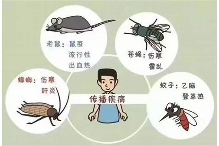 小人为什么不会得到报应,害那么多好人