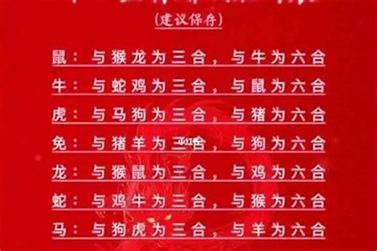 属牛结婚当天犯冲的属相