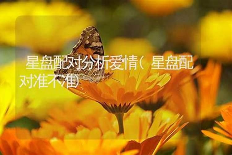 属虎的24年能结婚吗女