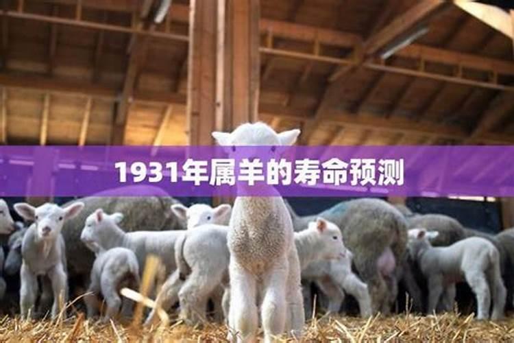 1931年属羊的能活多大岁数 1931年属羊的命运？