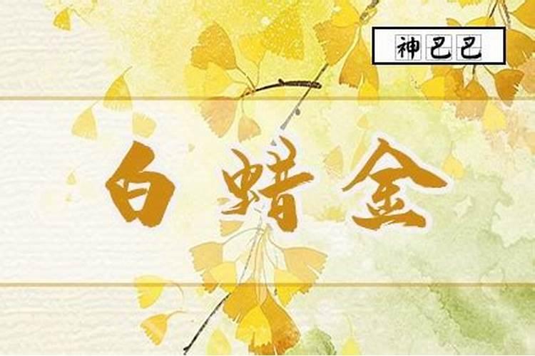 八字排盘怎么排出来的,十神四柱八字排盘命格