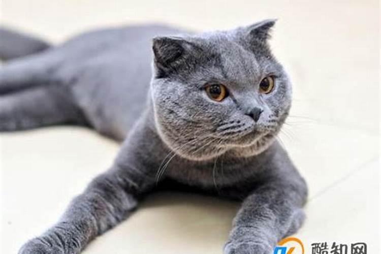梦见看到自己村死人了什么意思？