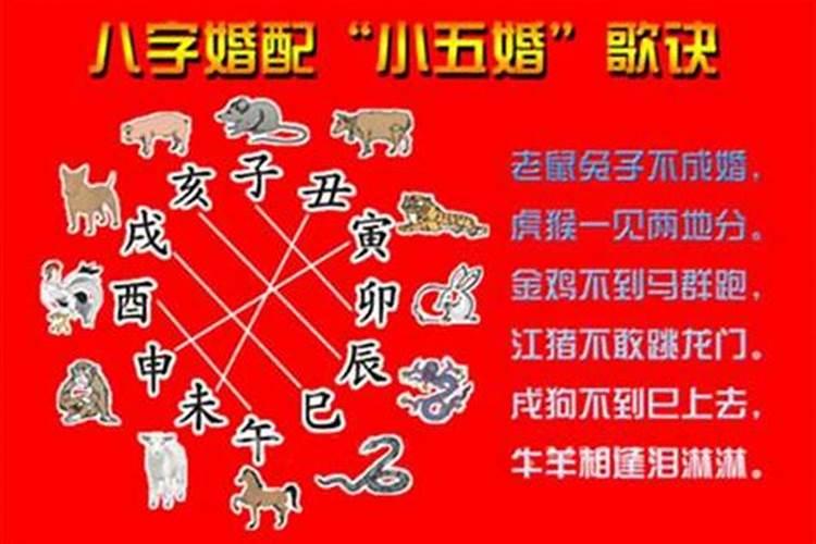 夫妻八字大运一路相合 同大运不一定能结婚？