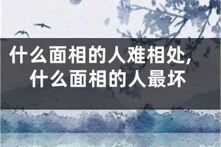 女属猴男属猴的婚配 男猴配什么属相最好
