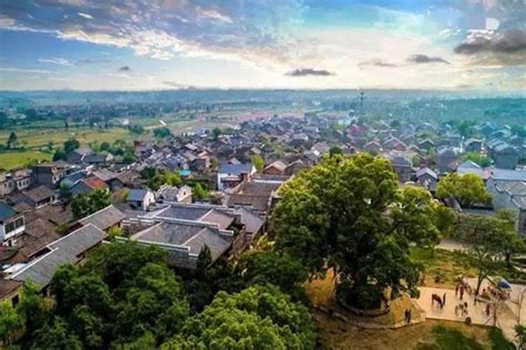 乌将八子去,凤逐九雏来。什么意思,要具体的意思
