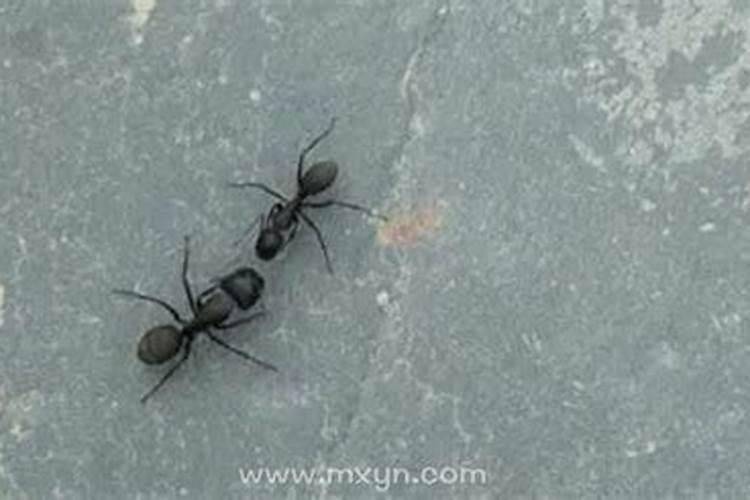 五行与楼层和生辰八字的关系,你能理得清吗？