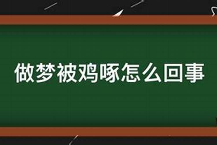 梦见满地都是老鼠的预兆