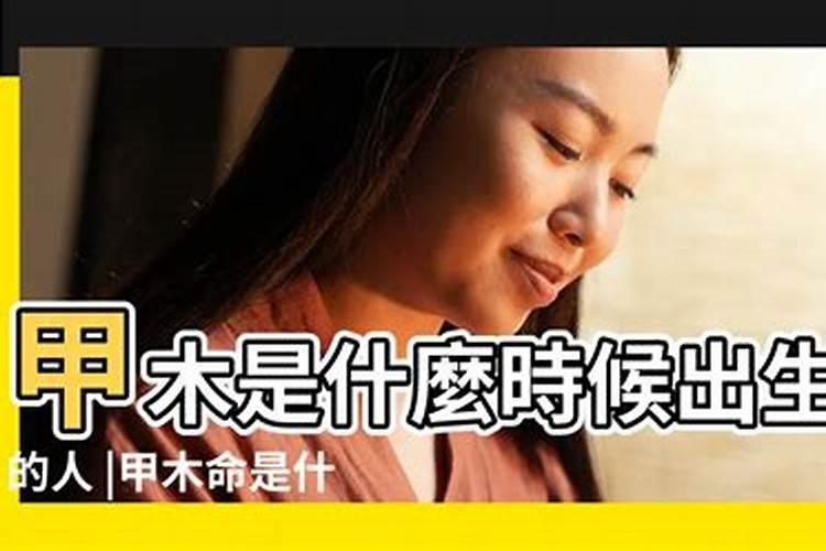 生辰八字都包括哪些内容？