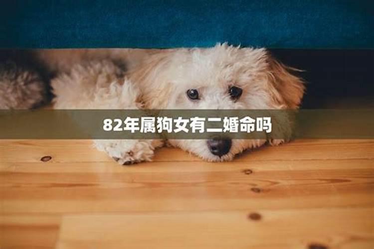 女人梦见妈妈变年轻了是什么预兆