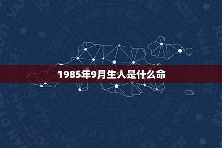 九五年农历二月十七日辰时出生运势