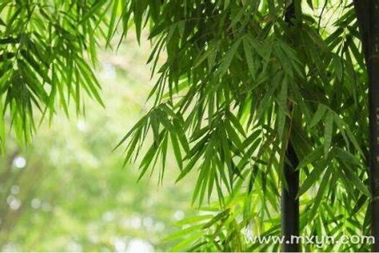 周公解梦 孕妇做梦梦见鱼代表什么  百度宝宝知道