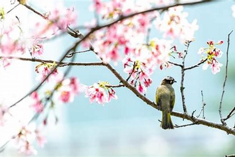梦见家乡人是什么意思？