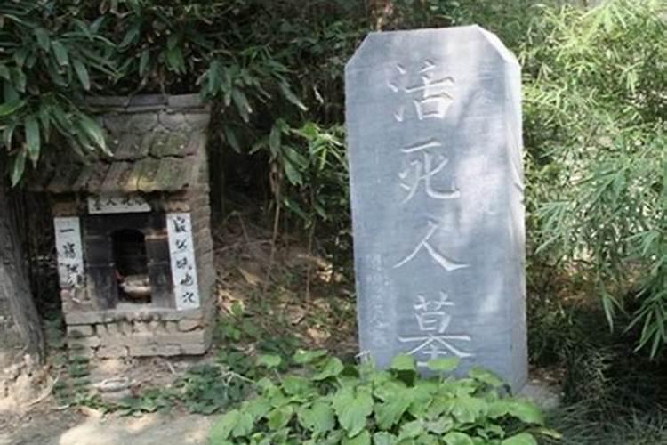 已婚女人梦见蛇害怕
