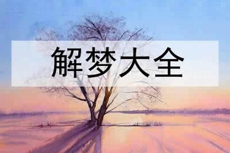 李姓有灵气女孩名字李姓女孩独特起名100分