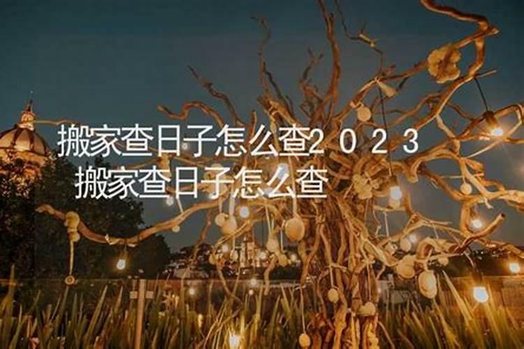 怎么样查日子