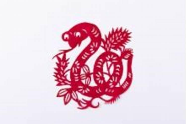 四库四财什么意思