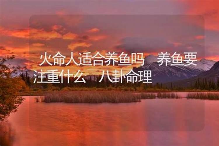 梦见朋友死了又活了的预兆