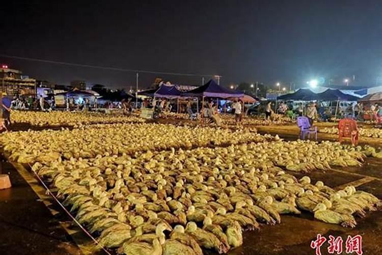 2025年中元节是几月几日