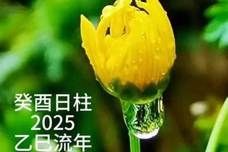 81年属鸡最难的几年