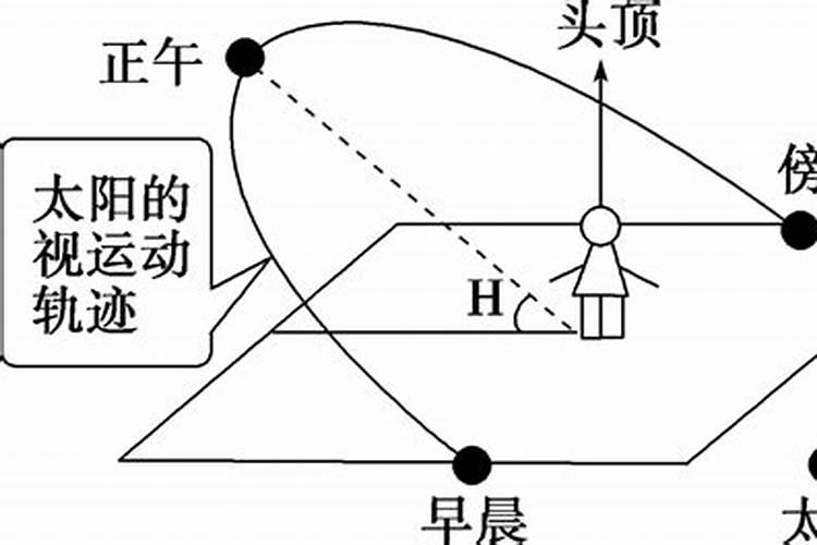 属兔的今年多少岁