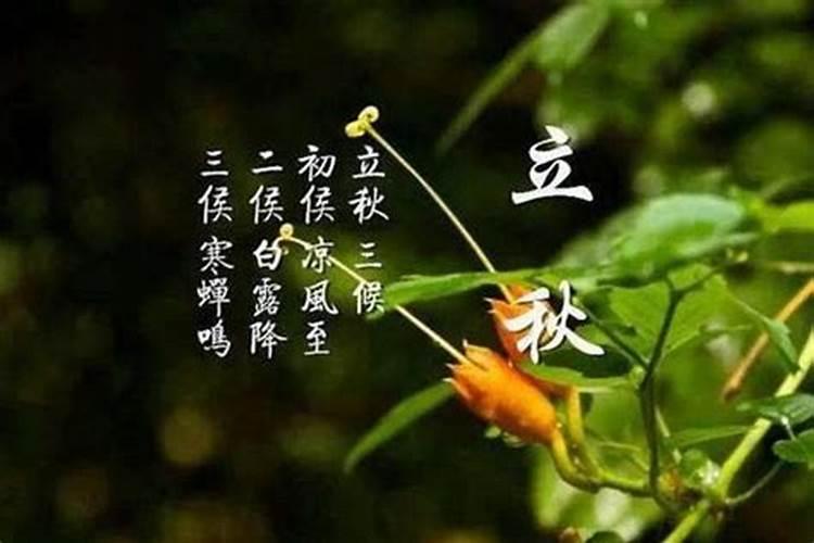 属羊2020年运势及运程
