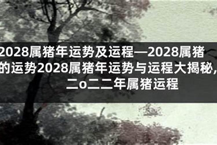 一九七一年属猪今年运程
