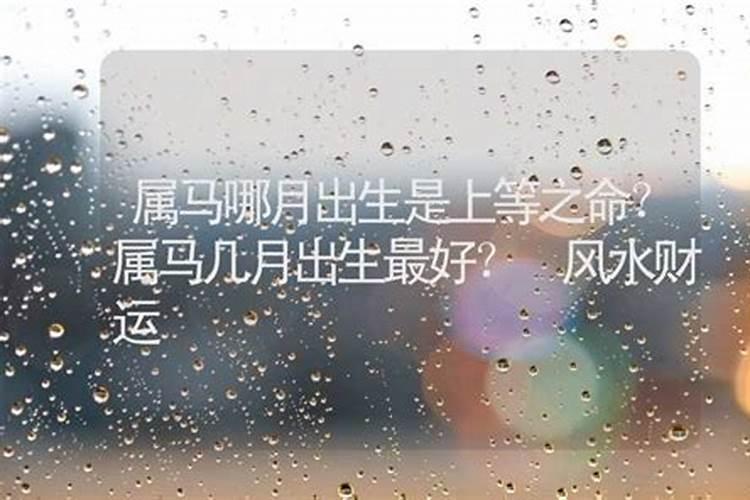 属猪的女生今年运气如何？1995年出生的