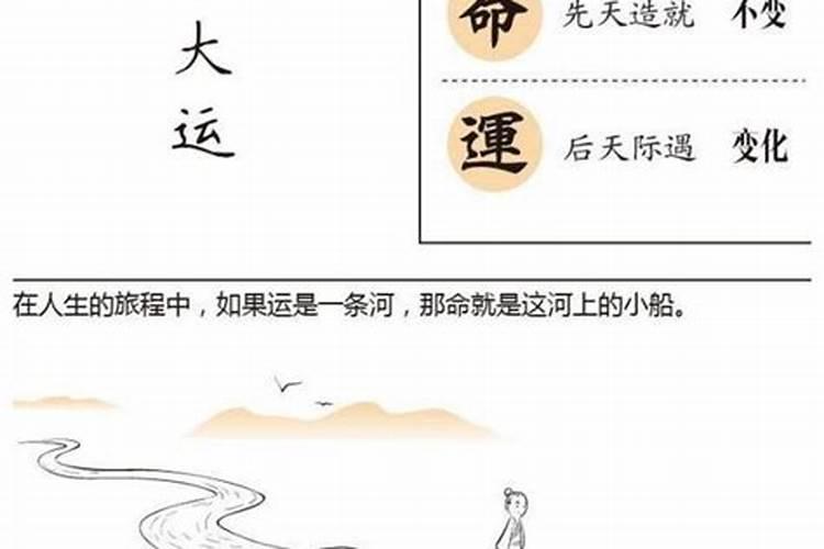 梦见很多的小乌龟是什么预兆？