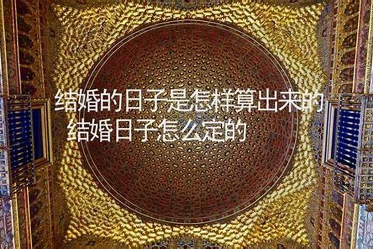 2025年属猪的全年运势