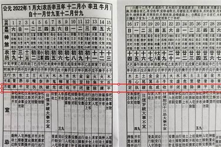 1973年属牛2025年运势及运程