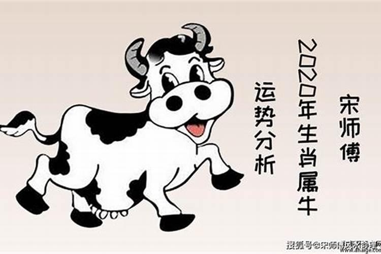 本命年怎么化解不利 本命年怎么避免倒霉事