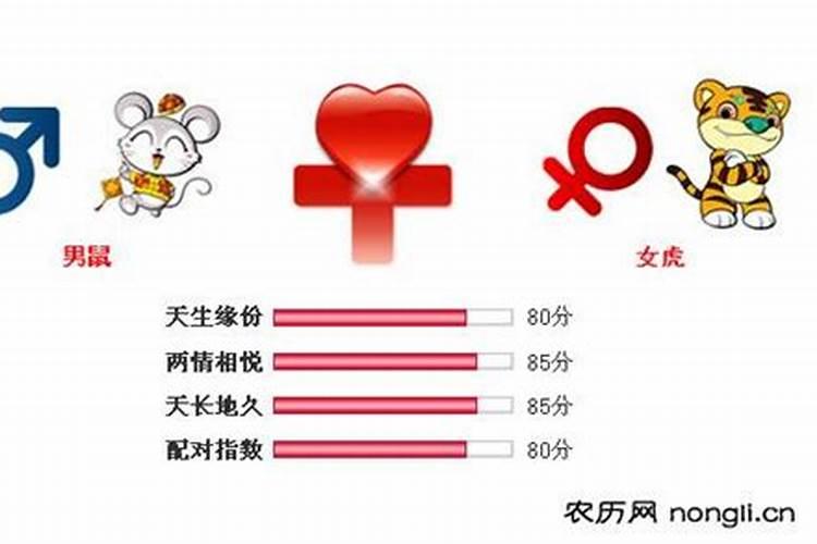 女虎男鼠是结婚的大忌,男属鼠女属虎 不宜结婚吗