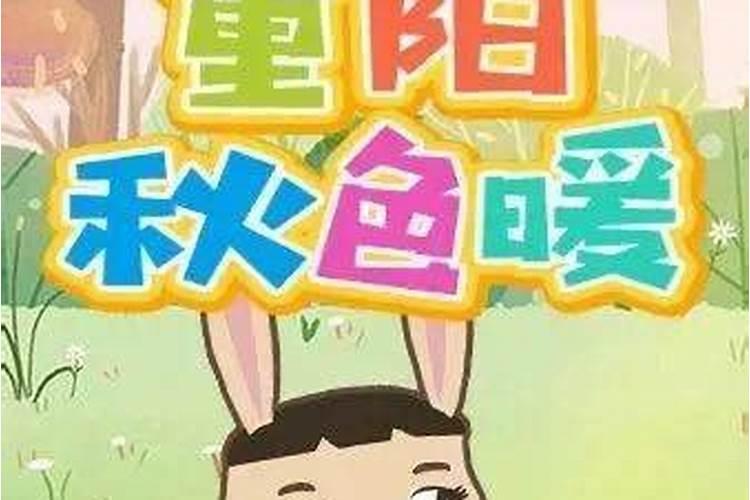 梦见妹妹开车有什么预兆？是什么意思？