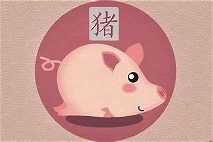 属猪的人什么日子最旺