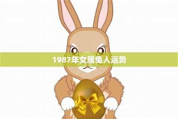 1987年属兔的是什么命