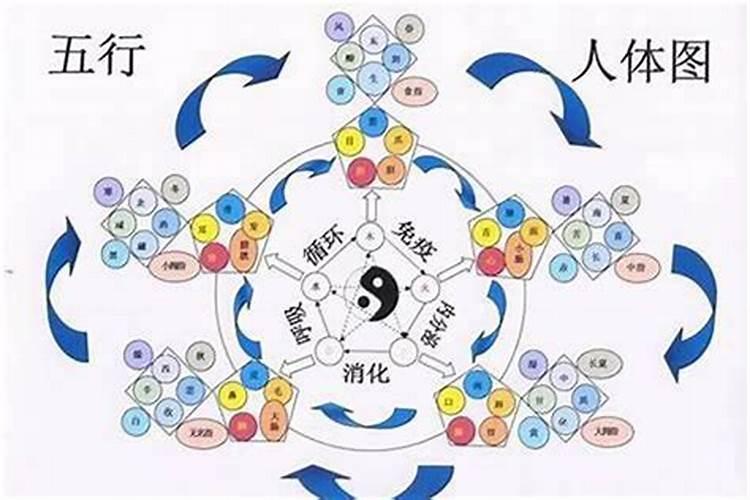 女人戴什么玉最旺财