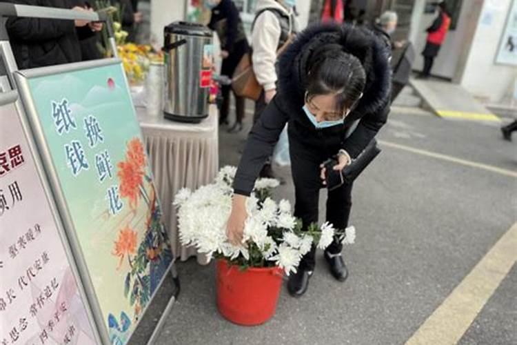 生肖蛇2025年运势及运程如何