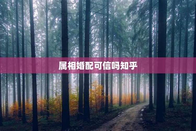 梦见有人带着我走路