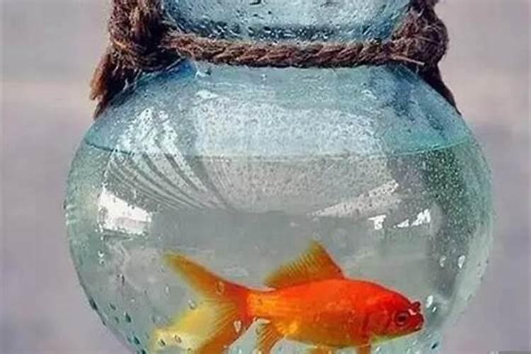 鱼缸破碎是什么意思？