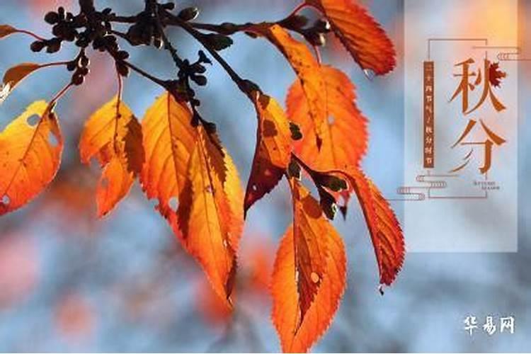 今年秋分是几月几号几点几分2024 秋分气象变化