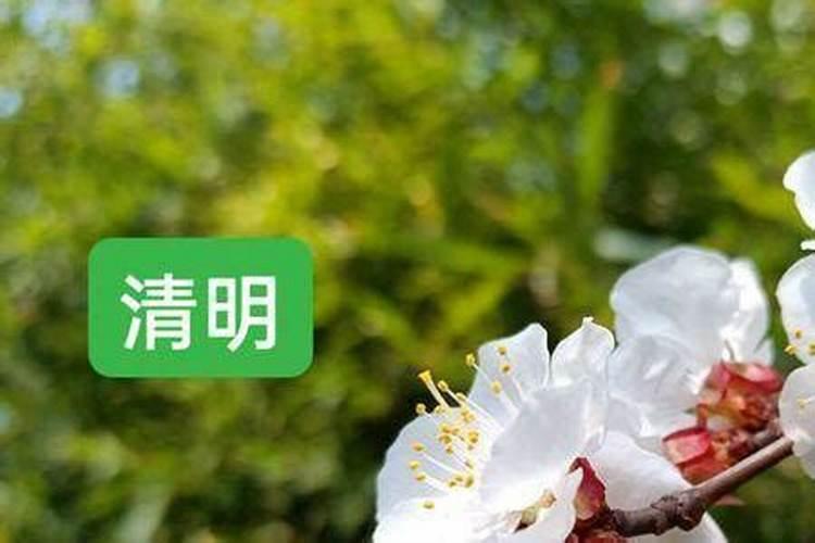 2024年清明节是哪天