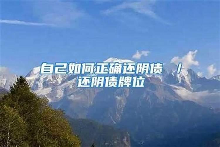 鸿运当头没养几天枯萎了是咋回事