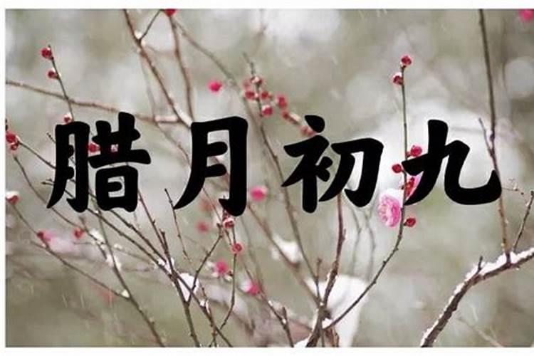 伤官男和什么女最合适 伤官格男命最佳婚配是谁