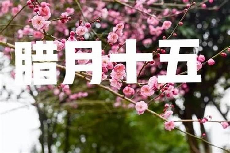 腊月十五宜什么,忌什么