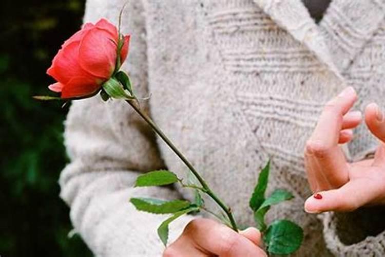 女人梦见老鼠的七大预兆,预示着什么？