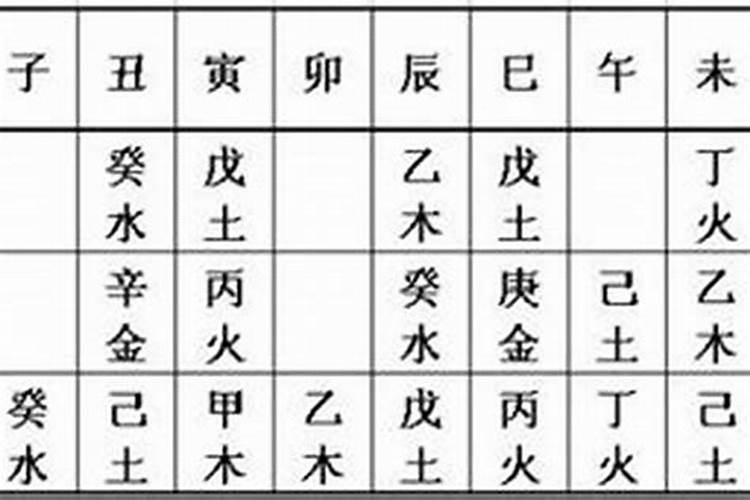 怎么看自己的八字天干地支
