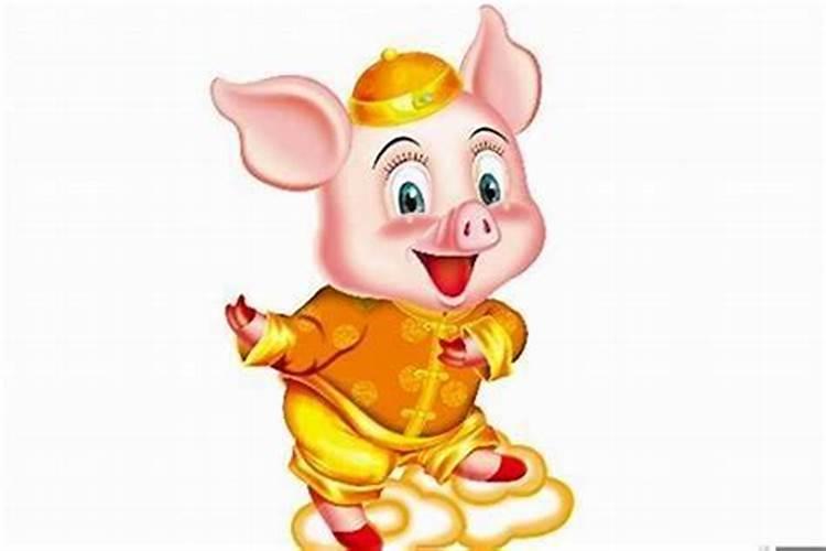 属猪的人,事业运势也会这么有福分吗？