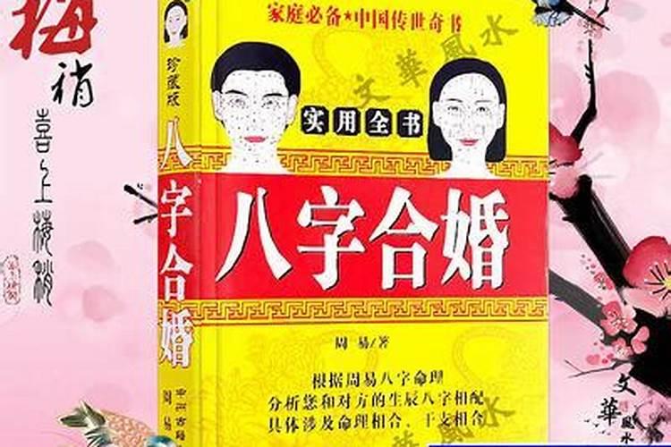 看看我的八字和将要注册的公司名字合不合