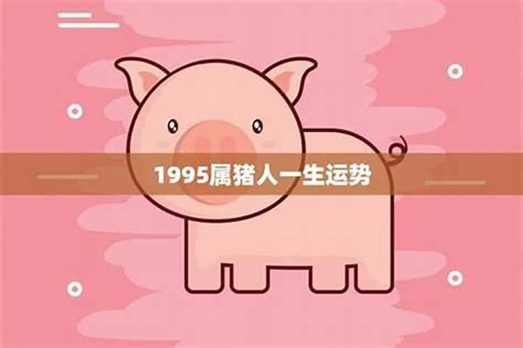 生肖猪1995年2025年运势如何 生肖猪1995年2025年全年运势